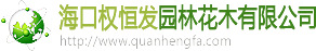 上海工业国际贸易有限公司